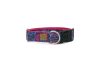 titokzatos széles kutya nyakörv 2