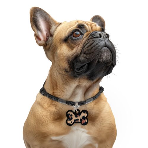 WAUDOG okosbiléta Leopárd - M