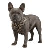 WAUDOG Mesh lélegző kutyahám Leopard S QR-kódos azonosítóval