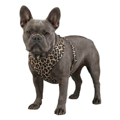 WAUDOG Mesh lélegző kutyahám Leopard M QR-kódos azonosítóval