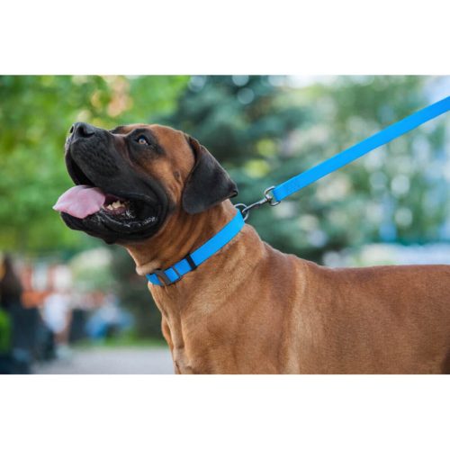 WAUDOG vízálló kutya póráz – kék 120cm 07