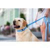 WAUDOG vízálló kutya póráz – kék 120cm 01