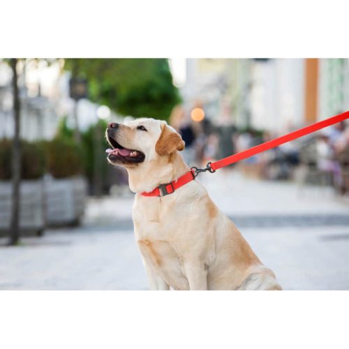 WAUDOG vízálló kutya póráz – piros 120cm 08