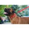 WAUDOG vízálló kutya póráz – piros 120cm 01