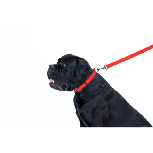 WAUDOG vízálló kutya póráz – piros 120cm 05