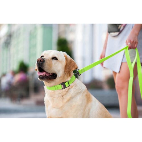 WAUDOG vízálló kutya póráz – zöld 120cm 09