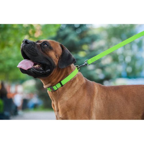 WAUDOG vízálló kutya póráz – zöld 120cm 02