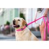 WAUDOG vízálló kutya póráz – pink 120cm 01