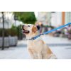 WAUDOG vízálló kutya póráz – kék 120cm 03