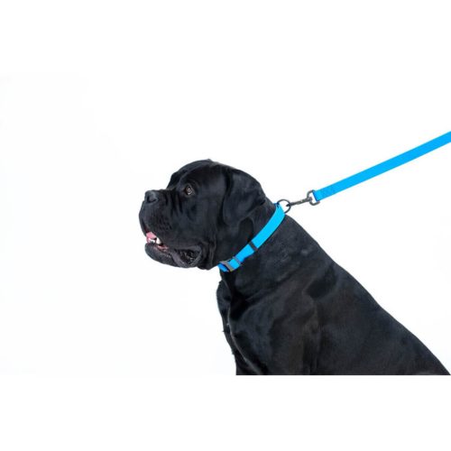 WAUDOG vízálló kutya póráz – kék 120cm 04