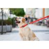 WAUDOG vízálló kutya póráz – piros 120cm 08