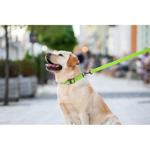 WAUDOG vízálló kutya póráz – zöld 120cm 07