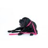 WAUDOG vízálló kutya póráz – pink 120cm 09