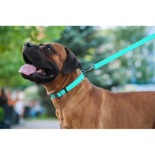WAUDOG vízálló kutya póráz – türkiz 180cm 06