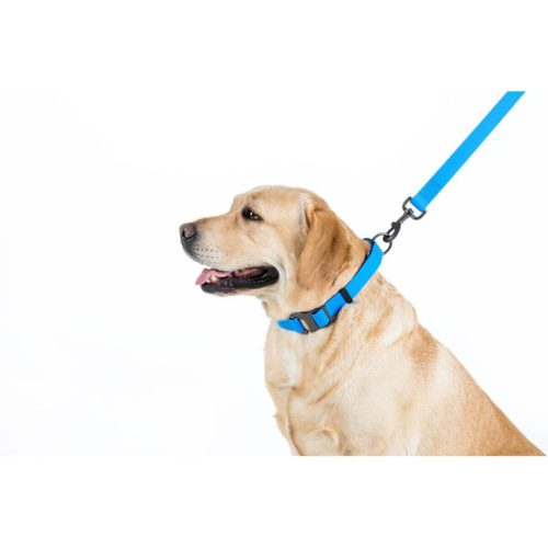 WAUDOG vízálló kutya póráz – kék 120cm 06
