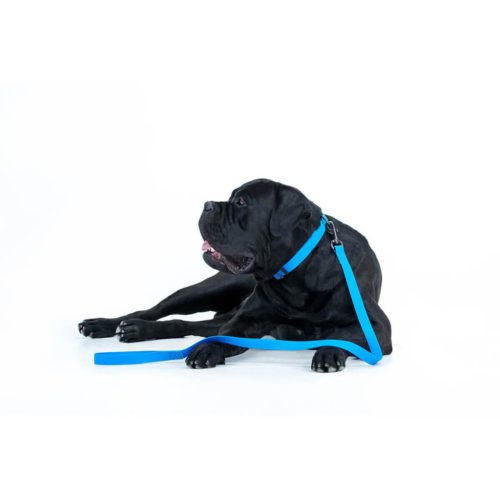 WAUDOG vízálló kutya póráz – kék 120cm 05