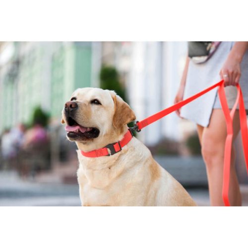 WAUDOG vízálló kutya póráz – piros 120cm 02
