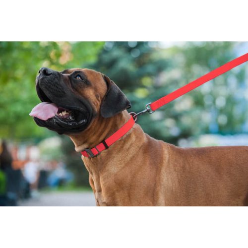 WAUDOG vízálló kutya póráz – piros 120cm 01
