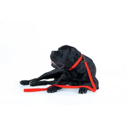 WAUDOG vízálló kutya póráz – piros 120cm 03