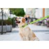 WAUDOG vízálló kutya póráz – zöld 120cm 07