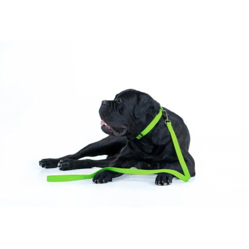 WAUDOG vízálló kutya póráz – zöld 120cm 04