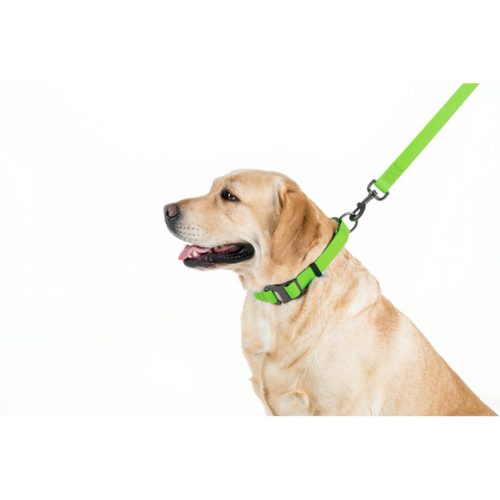 WAUDOG vízálló kutya póráz – zöld 120cm 05