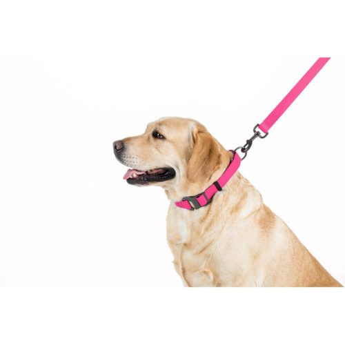 WAUDOG vízálló kutya póráz – pink 120cm 04