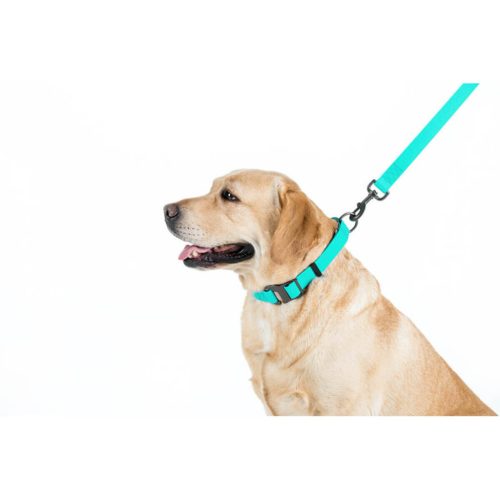WAUDOG vízálló kutya póráz – türkiz 180cm 01