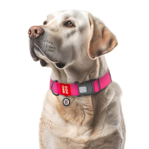 WAUDOG vízálló kutya nyakörv – pink 3