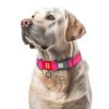 WAUDOG vízálló kutya nyakörv – pink 3