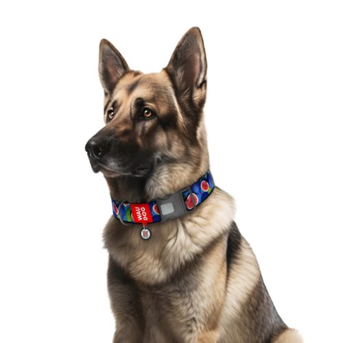 WAUDOG textil kutya nyakörv Füge 1