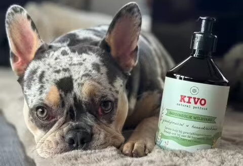 KIVO - Szardíniaolaj Zöldkagylóval és Cápaporccal 500ml