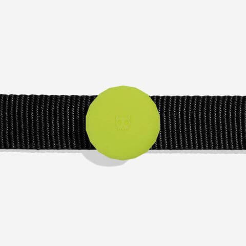 Airtag-tartó Zee.dog Lime4