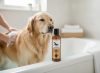 Bio kutyasampon érzékeny és problémás bőrre 100 ml, Lila Loves It