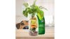 SmoothieDog-barany