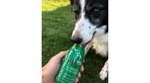 SmoothieDog-barany