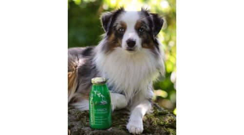 SmoothieDog-barany