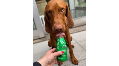 SmoothieDog Bárányhús smoothie menü-barany-2022