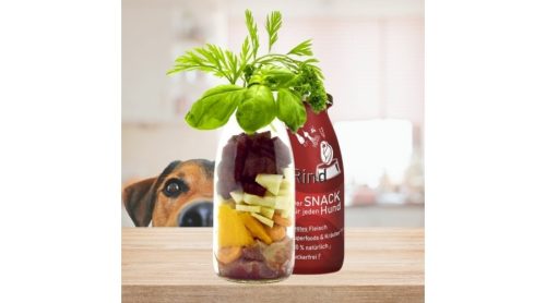 SmoothieDog