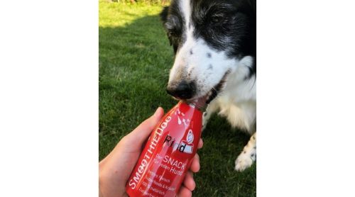 SmoothieDog