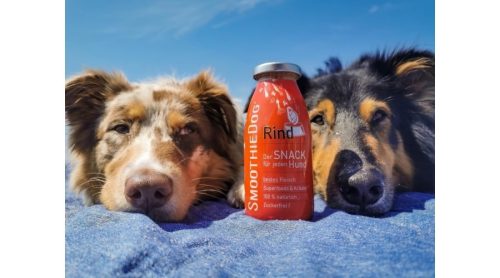 SmoothieDog