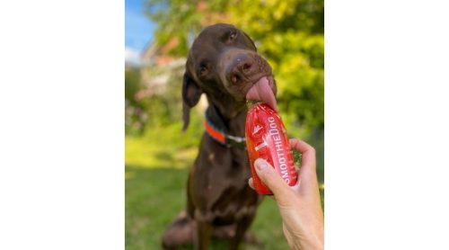 SmoothieDog - Marhahús smoothie-2022