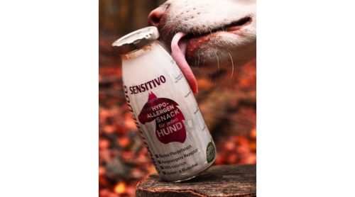 SmoothieDog-lovas