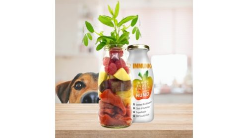 SmoothieDog-Immunio-2