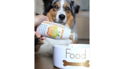 SmoothieDog-Immunio-2
