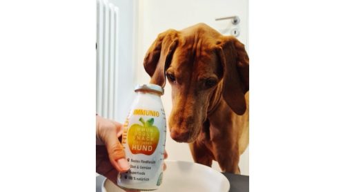 SmoothieDog-Immunio-2