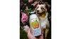 SmoothieDog-Immunio-2