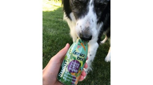 SmoothieDog-zoldseg