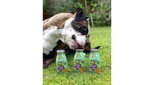 SmoothieDog-zoldseg