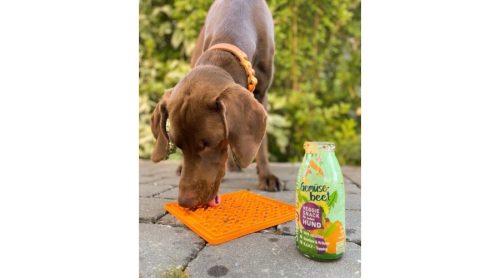 SmoothieDog-zoldseg